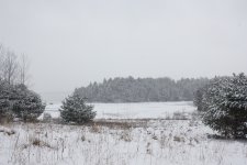 _MG_9396.JPG