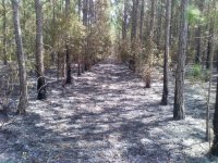 031411 burn671 C.jpg