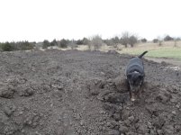 mudclose2.jpg mudclose2.jpg