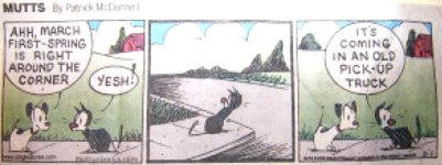 Mutts-spring.jpg