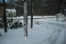 DSCF4001 (800x533).jpg
