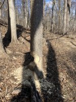 IMG_9376.jpeg