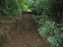 IMG_0075sm.jpg