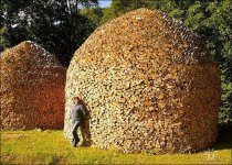 firewood2.jpg
