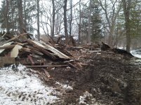 IMG_20130324_151718.jpg