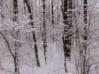 100_0200.jpg