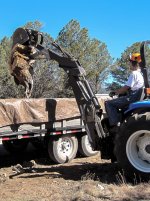 backhoe-4.jpg