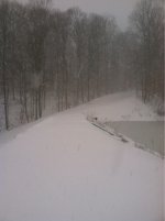 image-148402992.jpg