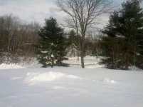 IMG_20130209_144920.jpg