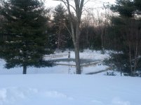 IMG_20130210_170236.jpg