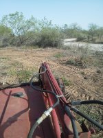 IMG_20130324_092233.jpg
