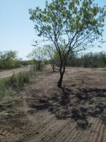 IMG_20130324_120217.jpg