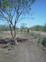 IMG_20130324_120307.jpg