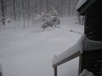 IMG_8318.jpg IMG_8318.jpg