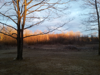ForumRunner_20130328_211449.png