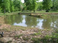 4-7-13 Pond View From Shallow End.jpg