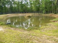 4-7-13 Pond View From Spillway.jpg