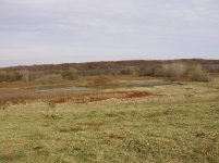 fall farm 003.jpg