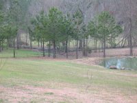 IMG_1165.JPG IMG_1165.JPG