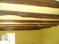 DSC00789.jpg