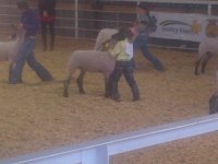 IMG-20130326-00222.jpg