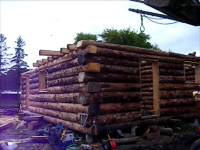 loft floor joists.png