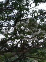 image-655478355.jpg