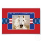 save_americas_wild_horses_poster-rc662e82656514bb187dbbbcf208f3217_wac_400.jpg