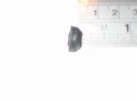Fuel line rubber gasket side.JPG Fuel line rubber gasket side.JPG