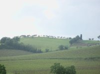 Tuscany1.jpg