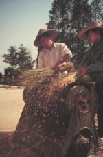 thresher_rice china.jpg