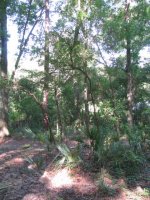 IMG_0636.jpg
