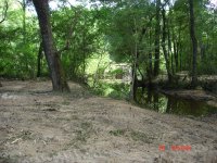 DSC00779.JPG