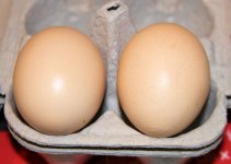 Iowa Blue Eggs 2.jpg