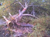 512278-Picture084_13Oct04.jpg