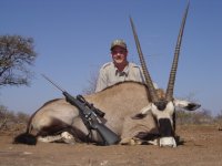 469390-gemsbok bull.JPG