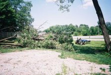 512881-TBN-treedown-topylaying04.jpg