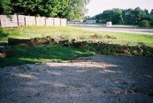 512884-TBN-treedown-choppedup06.jpg