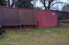 512888-TBN-treedown-done-reseeded07.jpg