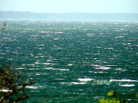 513039-Storm.jpg