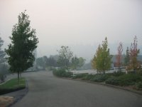 513300-Road-sm.jpg