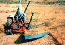 513336-smercimek1.jpg