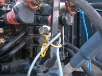 597579-TNRearCloseUp1587.jpg