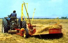 513411-cut-rake2.jpg