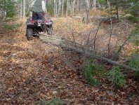 557616-grisrearwinch.jpg