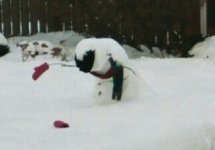 380123-Droopy Snowman1+.jpg