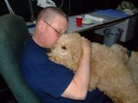 dogs jan 003.jpg