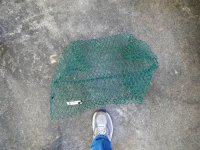 Pillow traps (5).JPG