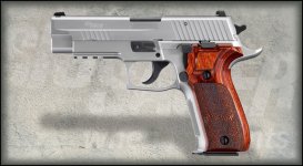 P226.jpg