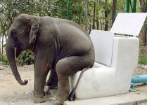 elephant dump.jpg